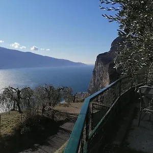 https://casetta-delle-olive.it-lombardy.com